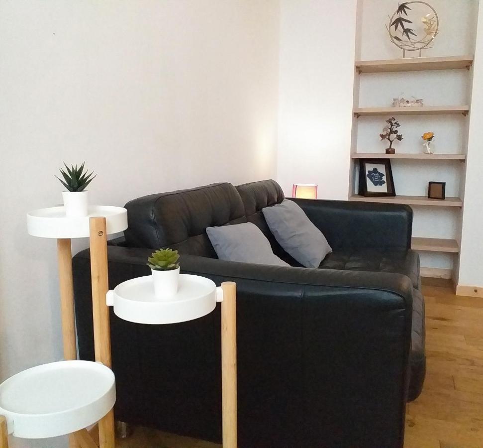 Le Paisible - Gare - Duplex - Garage Prive - Netflix Apartment Grenoble Bagian luar foto