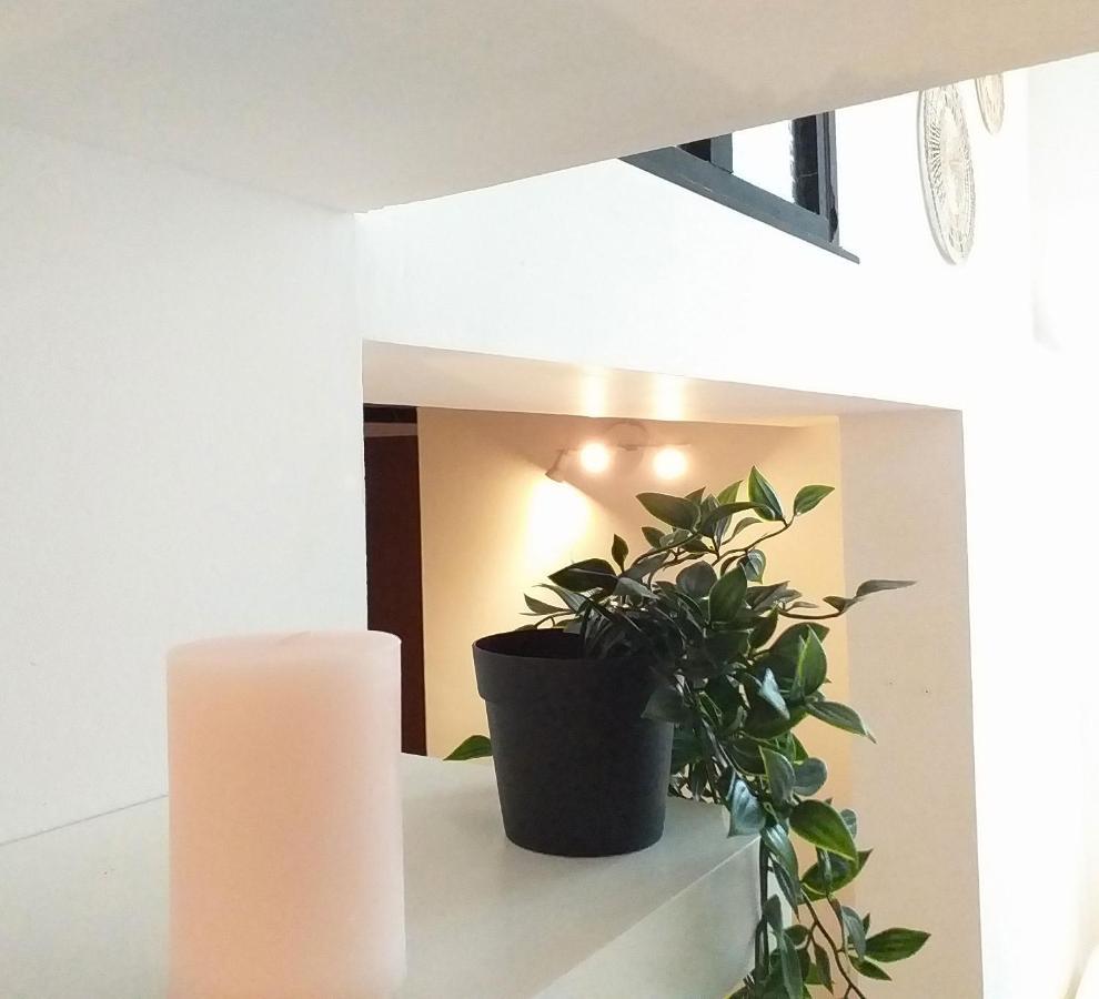 Le Paisible - Gare - Duplex - Garage Prive - Netflix Apartment Grenoble Bagian luar foto